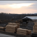 eastern-white-pine-industrial-3