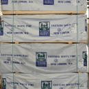 Eastern White Pine