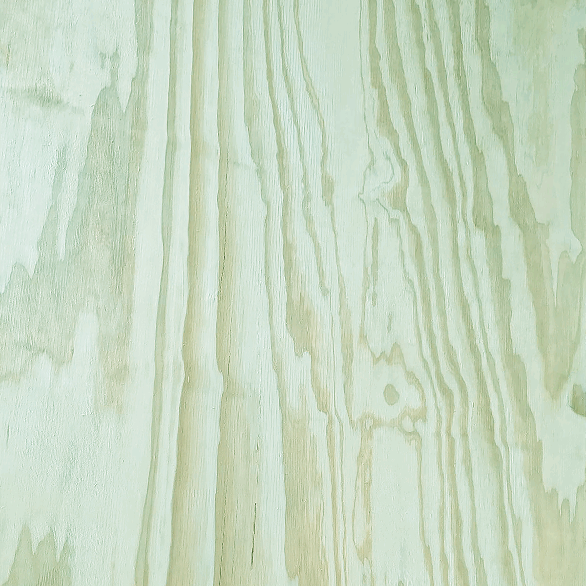 Forest Guard™ Panel Products
