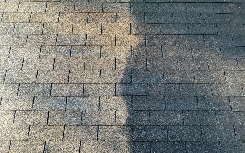 Zinc Strips for Roof Moss