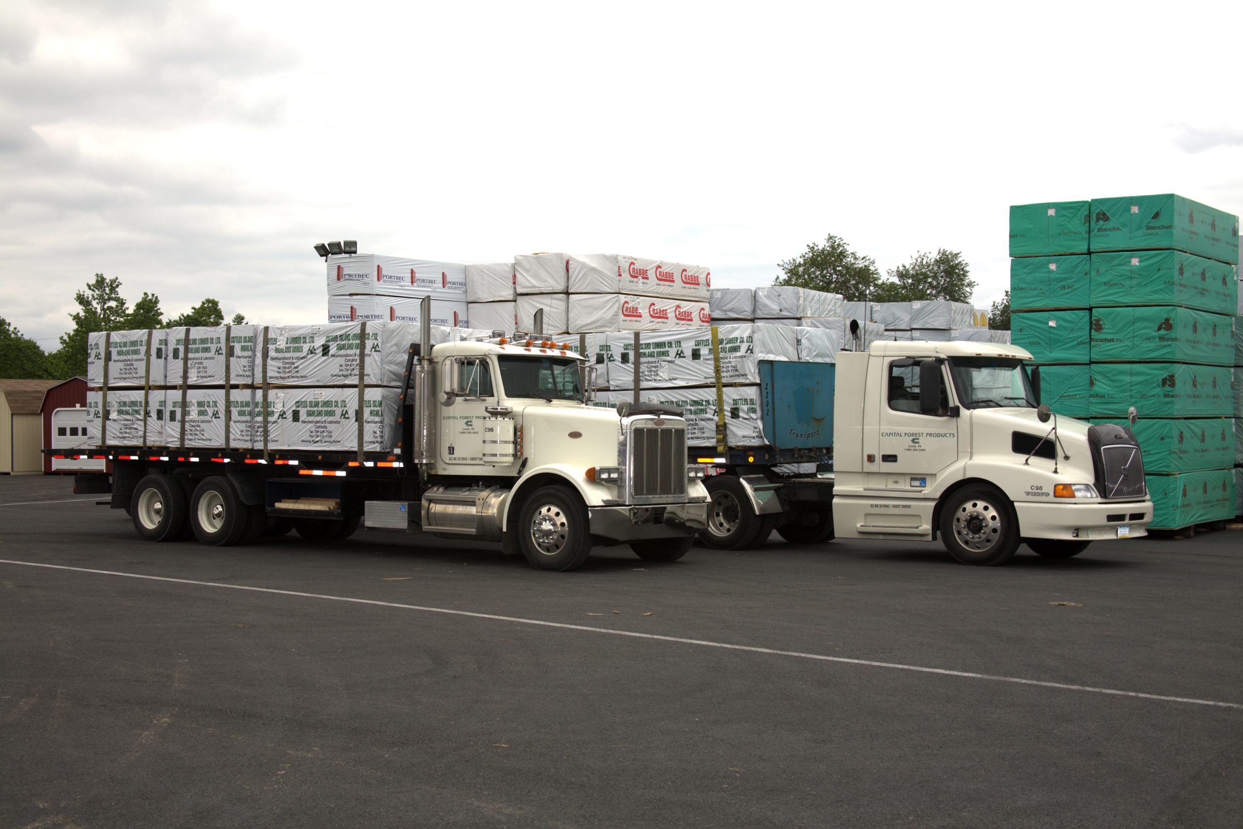 Hardwoods vs. Softwoods