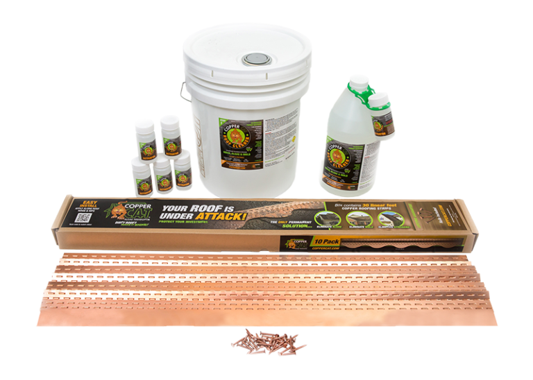 IMG_11-Straight-Small-768x548 (1)