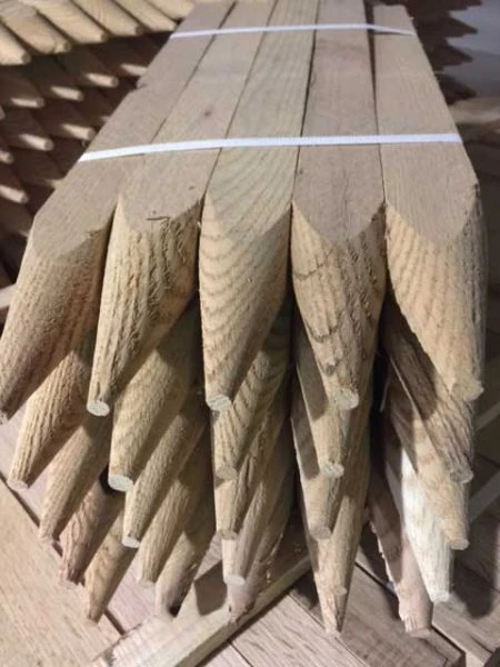 Douglas Fir