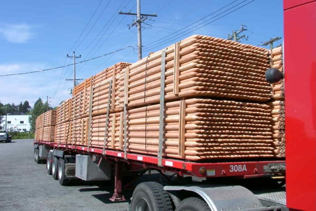 photo-003 (1) (1)